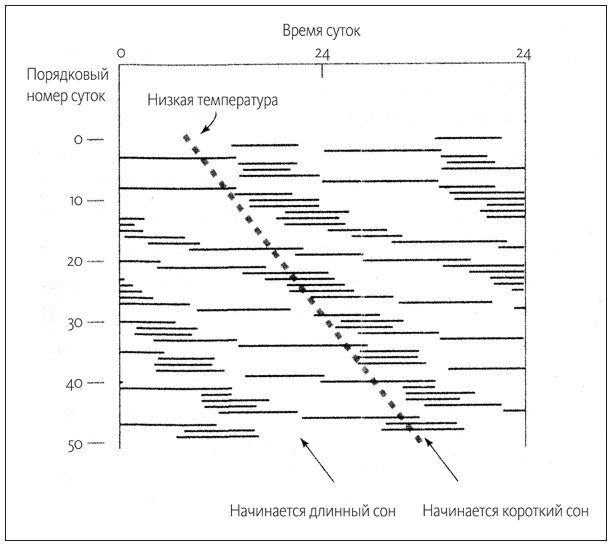 Иллюстрация к книге — Ритм вселенной. Как из хаоса возникает порядок [i_009.jpg]
