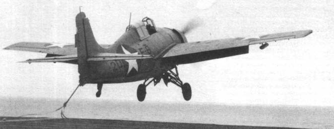 Иллюстрация к книге — Grumman Wildcat [pic_138.jpg]