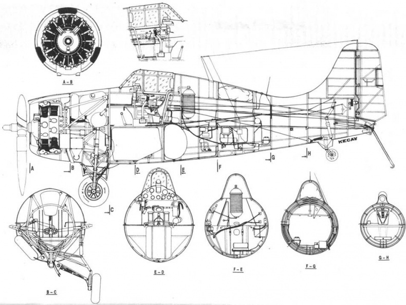 Иллюстрация к книге — Grumman Wildcat [pic_201.jpg]