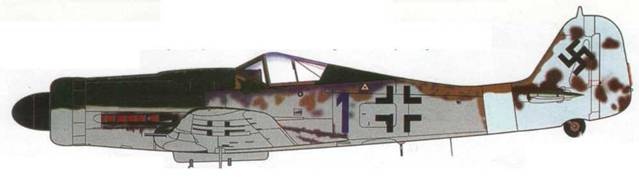 Иллюстрация к книге — Focke Wulf Fw 190D Ta 15 [pic_128.jpg]