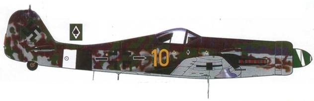 Иллюстрация к книге — Focke Wulf Fw 190D Ta 15 [pic_135.jpg]