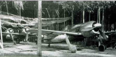 Иллюстрация к книге — Focke Wulf FW190 A/F/G. Часть 2 [pic_36.jpg]