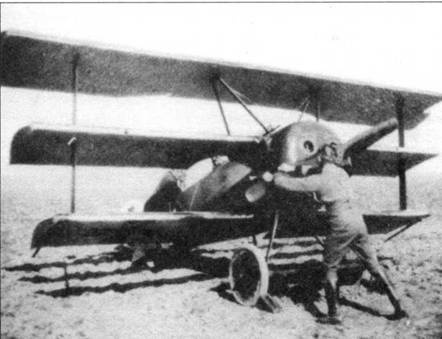 Иллюстрация к книге — Боевое применение трипланов Fokker Dr I в Первой Мировой войне [pic_22.jpg]