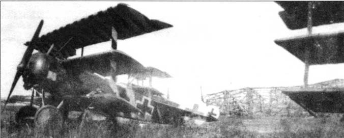Иллюстрация к книге — Боевое применение трипланов Fokker Dr I в Первой Мировой войне [pic_71.jpg]