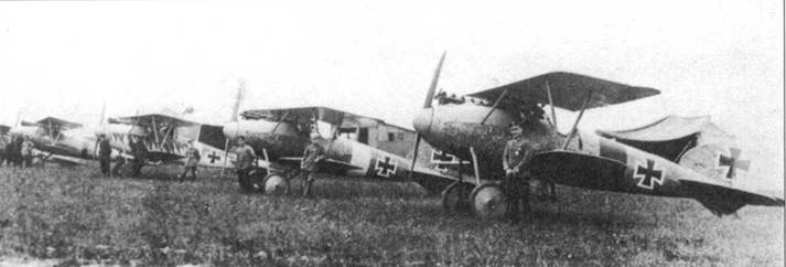Иллюстрация к книге — Боевое применение германских истребителей Albatros в Первой мировой войне [pic_48.jpg]