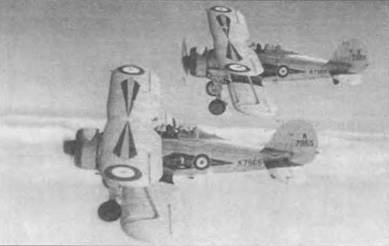 Иллюстрация к книге — Gloster Gladiator [pic_39.jpg]