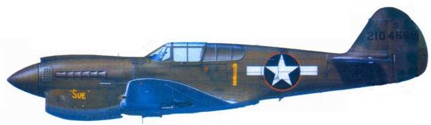 Иллюстрация к книге — Curtiss P-40. Часть 4 [pic_112.jpg]