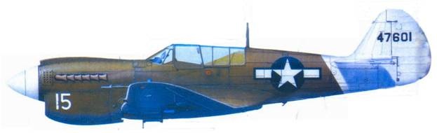 Иллюстрация к книге — Curtiss P-40. Часть 4 [pic_113.jpg]