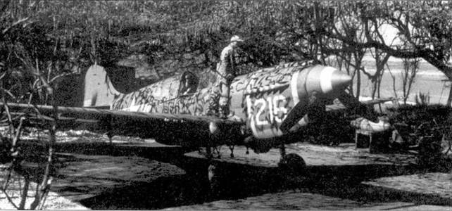 Иллюстрация к книге — Curtiss P-40. Часть 4 [pic_81.jpg]