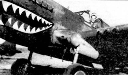 Иллюстрация к книге — Curtiss P-40. Часть 4 [pic_95.jpg]