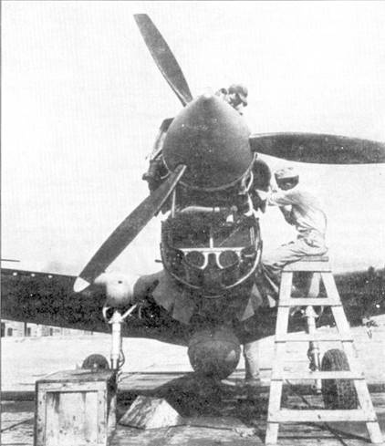 Иллюстрация к книге — Curtiss P-40. Часть 3 [pic_68.jpg]