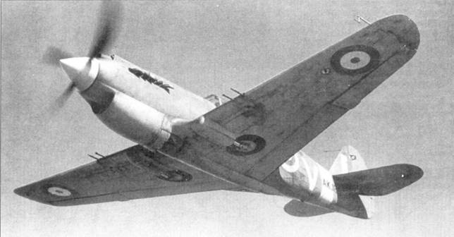 Иллюстрация к книге — Curtiss P-40. Часть 3 [pic_87.jpg]