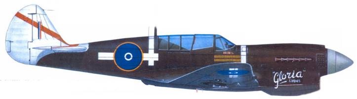 Иллюстрация к книге — Curtiss P-40. Часть 2 [pic_155.jpg]