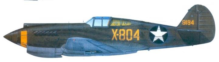 Иллюстрация к книге — Curtiss P-40. Часть 1 [pic_99.jpg]