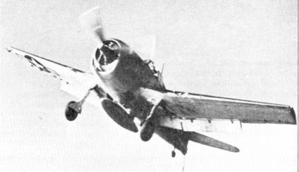 Иллюстрация к книге — F6F Hellcat Часть 1 [pic_58.jpg]