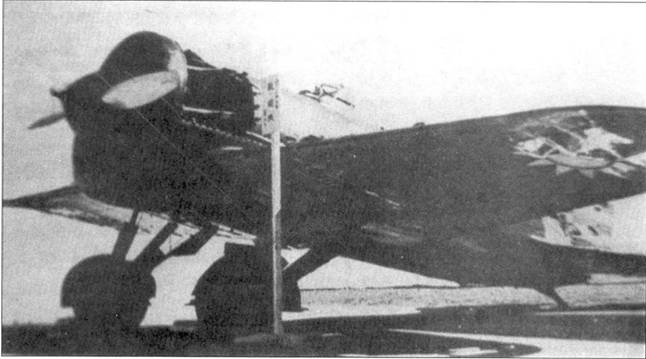 Иллюстрация к книге — И-16 боевой «Ишак» сталинских соколов Часть 2 [pic_13.jpg]
