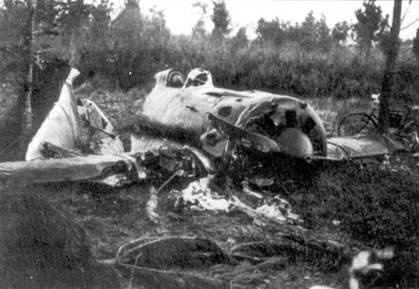 Иллюстрация к книге — И-16 боевой «ишак» сталинских соколов. Часть 1 [pic_33.jpg]