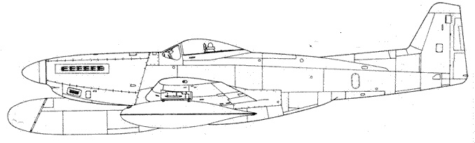 Иллюстрация к книге — Р-51 «Mustang» Часть 2 [pic_91.jpg]