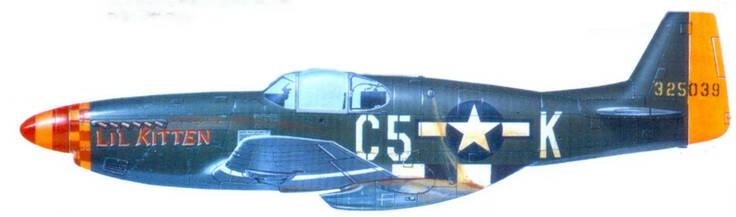 Иллюстрация к книге — Р-51 «Mustang» Часть 1 [pic_151.jpg]