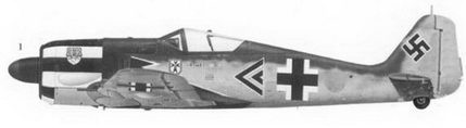 Иллюстрация к книге — Асы люфтваффе пилоты Fw 190 на Западном фронте [fb2tobdim_136.jpg]