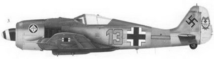 Иллюстрация к книге — Асы люфтваффе пилоты Fw 190 на Западном фронте [fb2tobdim_138.jpg]