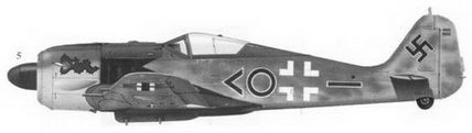 Иллюстрация к книге — Асы люфтваффе пилоты Fw 190 на Западном фронте [fb2tobdim_140.jpg]