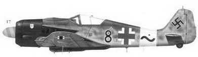 Иллюстрация к книге — Асы люфтваффе пилоты Fw 190 на Западном фронте [fb2tobdim_152.jpg]