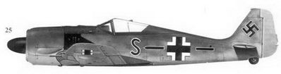 Иллюстрация к книге — Асы люфтваффе пилоты Fw 190 на Западном фронте [fb2tobdim_160.jpg]