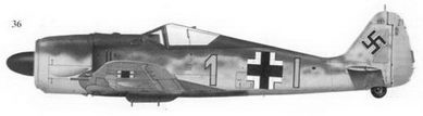 Иллюстрация к книге — Асы люфтваффе пилоты Fw 190 на Западном фронте [fb2tobdim_171.jpg]