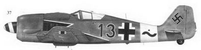 Иллюстрация к книге — Асы люфтваффе пилоты Fw 190 на Западном фронте [fb2tobdim_172.jpg]