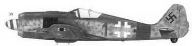 Иллюстрация к книге — Асы люфтваффе пилоты Fw 190 на Западном фронте [fb2tobdim_174.jpg]