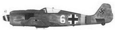 Иллюстрация к книге — Асы люфтваффе пилоты Fw 190 на Западном фронте [fb2tobdim_177.jpg]