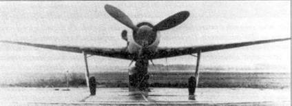 Иллюстрация к книге — Асы люфтваффе пилоты Fw 190 на Западном фронте [pic_133.jpg]