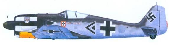 Иллюстрация к книге — Асы люфтваффе пилоты Fw 190 на Западном фронте [pic_135.jpg]