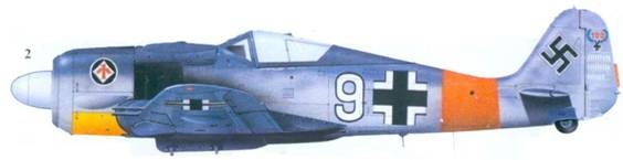 Иллюстрация к книге — Асы люфтваффе пилоты Fw 190 на Западном фронте [pic_136.jpg]