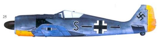 Иллюстрация к книге — Асы люфтваффе пилоты Fw 190 на Западном фронте [pic_159.jpg]