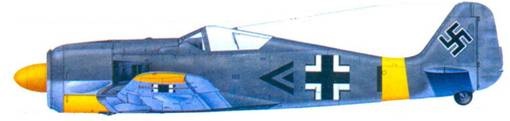 Иллюстрация к книге — Асы люфтваффе. Пилоты Fw 190 на Восточном фронте [pic_128.jpg]