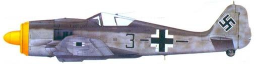 Иллюстрация к книге — Асы люфтваффе. Пилоты Fw 190 на Восточном фронте [pic_131.jpg]