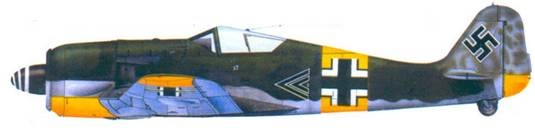 Иллюстрация к книге — Асы люфтваффе. Пилоты Fw 190 на Восточном фронте [pic_140.jpg]