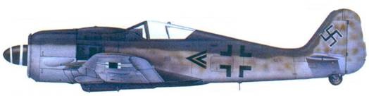 Иллюстрация к книге — Асы люфтваффе. Пилоты Fw 190 на Восточном фронте [pic_141.jpg]