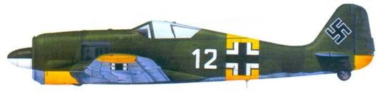 Иллюстрация к книге — Асы люфтваффе. Пилоты Fw 190 на Восточном фронте [pic_145.jpg]
