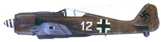 Иллюстрация к книге — Асы люфтваффе. Пилоты Fw 190 на Восточном фронте [pic_147.jpg]
