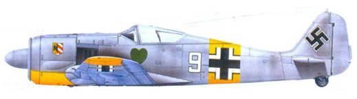 Иллюстрация к книге — Асы люфтваффе. Пилоты Fw 190 на Восточном фронте [pic_148.jpg]