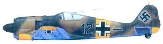 Иллюстрация к книге — Асы люфтваффе. Пилоты Fw 190 на Восточном фронте [pic_158.jpg]