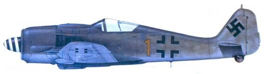 Иллюстрация к книге — Асы люфтваффе. Пилоты Fw 190 на Восточном фронте [pic_161.jpg]