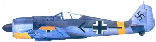 Иллюстрация к книге — Асы люфтваффе. Пилоты Fw 190 на Восточном фронте [pic_163.jpg]