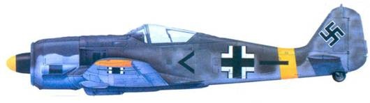 Иллюстрация к книге — Асы люфтваффе. Пилоты Fw 190 на Восточном фронте [pic_165.jpg]