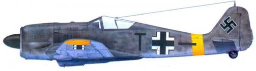 Иллюстрация к книге — Асы люфтваффе. Пилоты Fw 190 на Восточном фронте [pic_167.jpg]
