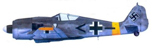 Иллюстрация к книге — Асы люфтваффе. Пилоты Fw 190 на Восточном фронте [pic_171.jpg]