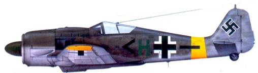 Иллюстрация к книге — Асы люфтваффе. Пилоты Fw 190 на Восточном фронте [pic_173.jpg]